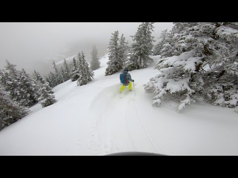 Powder fun in Tirol [4K]