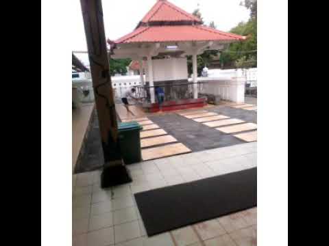 Kalamun Qodimun-Athirah,Abrar,Azfar