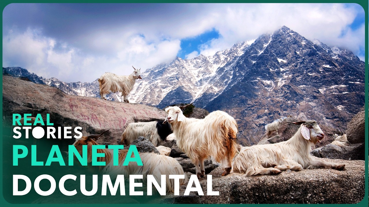 2 Horas Explorando Las Altas Tierras Más Increíbles De La Tierra | Real Stories en Español