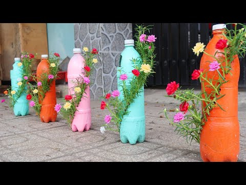 Making a beautiful waterfall garden Portulaca Moss Rose from plastic bottles for small garden