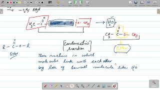 ester formation and naming o level