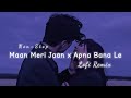 Apna Bana Le Mashup 2023 | Maan Meri Jaan | king | Bhediya | Sachin-Jigar | Arijit singh |