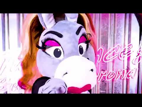 Tercio de Cucas en Chile!