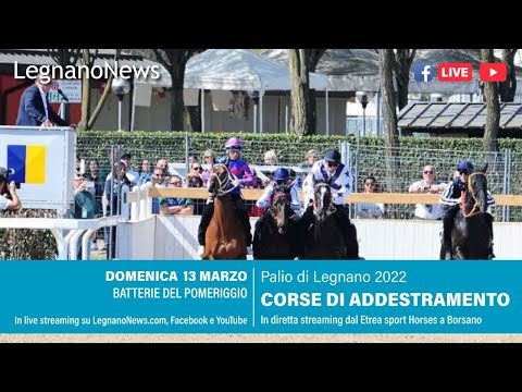 Palio di Legnano 2022 - Corse di addestramento: batterie del pomeriggio