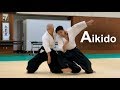 Aikido Demonstration 2019 Shirakawa Katsutoshi Shihan