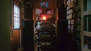 Still climbing, Freewheelin : Cinderella : Still climbing