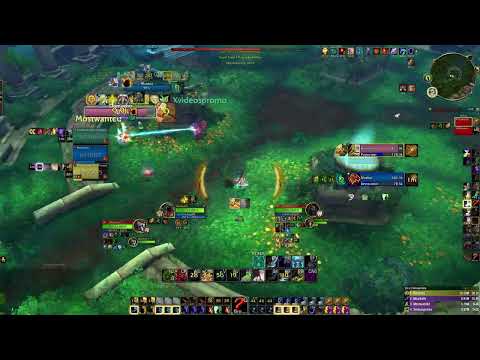 BYE BYE PROT PALLY / 10.1.7 WoW Dragonflight Arena