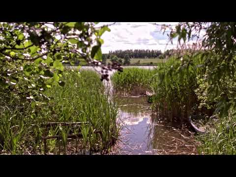 Gospodarstwo Agroturystyczne Skarbienice pod koniec lata 2021