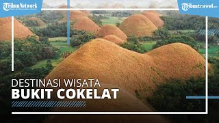 Keindahan Bukit Cokelat, Spot Favorit Menikmati Sunset Selain Pantai di Bohol