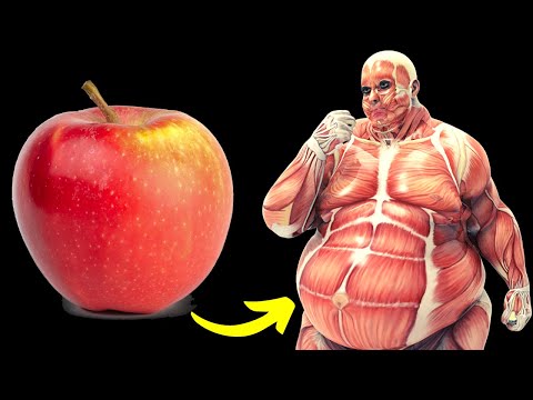 What would happen to your body if you ate apples every day?