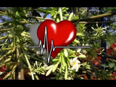 How Papaya Flower Is Beneficial For Health?, Health Benefits Of Papaya Flower,Papaya Flower Benefits