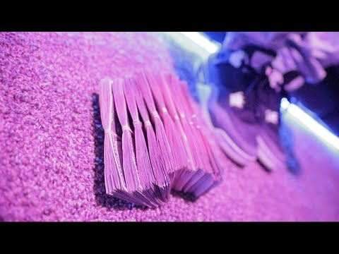 852 Santana- Still Lit​ @OneWayVisuals (ShotbyHefe)