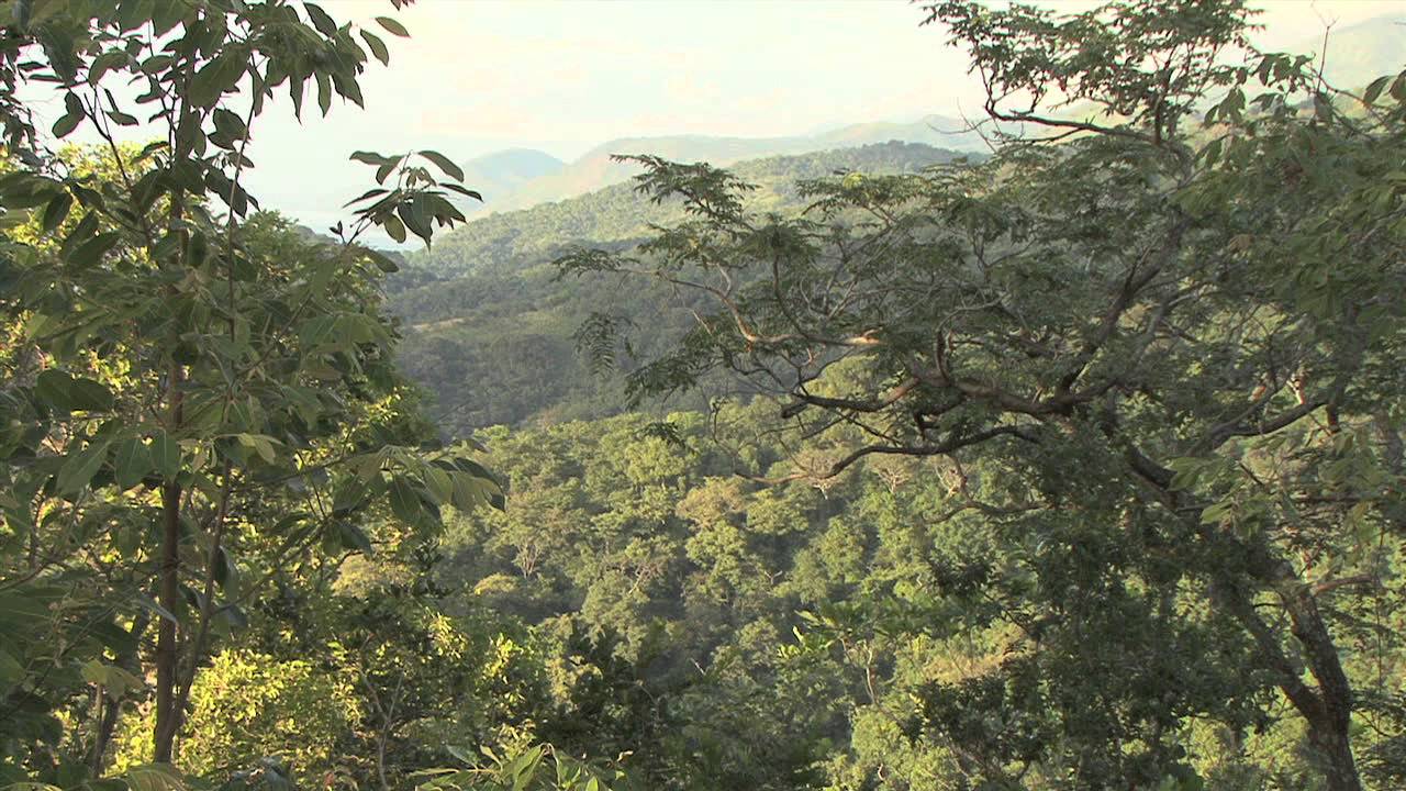 Community Mapping - Alice Macharia