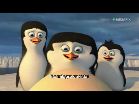 Os Pinguins de Madagascar | Sessão Megapix