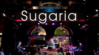 Ria Ideta Band of Color: Sugaria / Eric Sammut