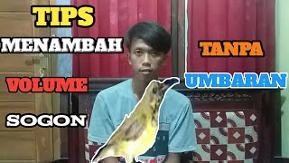 Download lagu CARA MENINGKATKAN VOLUME BURUNG SOGON TANPA MEROKOK mp3 Download lagu CARA MENINGKATKAN VOLUME BURUNG SOGON TANPA MEROKOK mp3