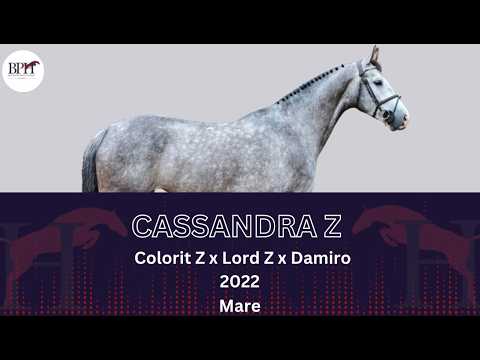 Cassandra Z