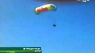 preview picture of video 'Летающий осел в Голубицкой Азовское море.'