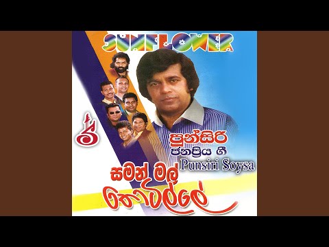 Tharaha Wela Wage Mokada