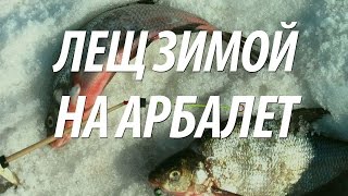 Ловля леща в подмосковье зимой