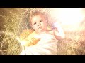 HOLY LAMB OF GOD (With Lyrics) : Don Moen