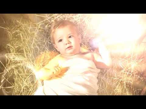 Holy Lamb Of God