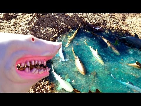 Learn Sea Animal Names for Kids Children with Hand Puppet Shark Attack
