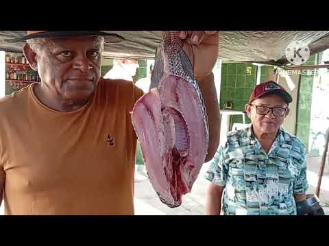 Feira de campos Sales ceará 