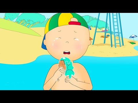 Caillou à la Plage | Les Nouvelles Aventures de Caillou | Caillou en Français