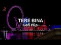 Tere Bina Lofi Flip Jay Kava Murtuza Khan Qadir Khan A R Rahman Sony Music India