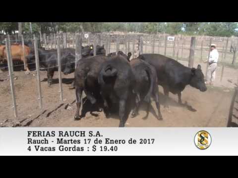 17-01-17 Venta de Gordo - Ferias Rauch S.A. - Rauch.