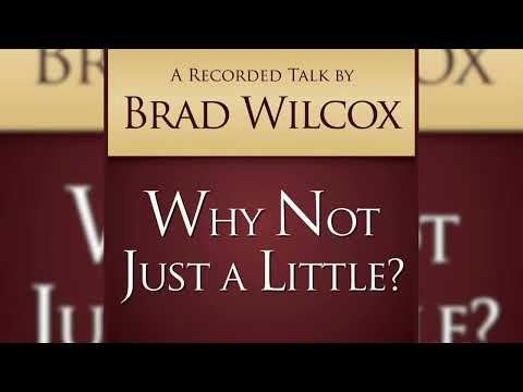 BRAD WILCOX - WHY NOT JUST A LITTLE