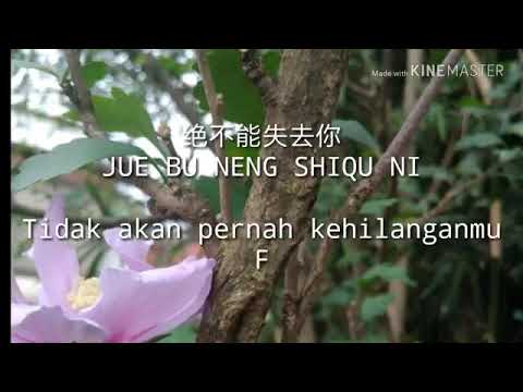 F4 - JUE BU NENG SHI QU NI