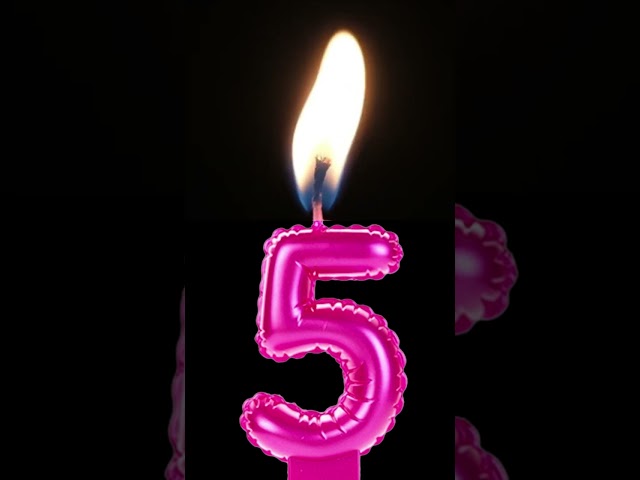 Vídeo relacionado con Talking Tables- Vela Número 5 Con Brillo De Oro Rosa Para niños, adultos, 50 cumpleaños, aniversario, hito, Color (BDAY-CANDLE-RG-5)