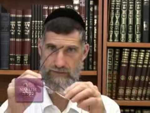 Jewish Torah Insights: Path to Teshuva, Part I