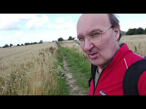 MongoTV_12550 - MIN GÅTUR - Tirsdag 24.Juli 2023 - Kornmark Sommer 2023