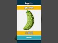 gherkin - 小黄瓜 video thumbnail