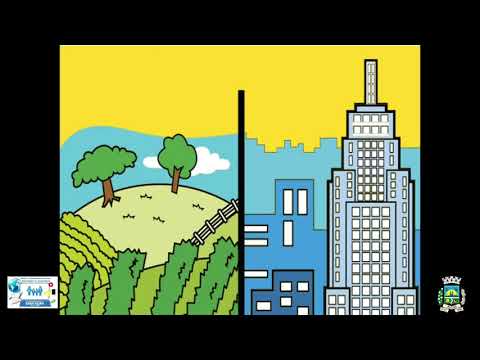 Geografia 4º ano Aula 13 _ Os limites do município