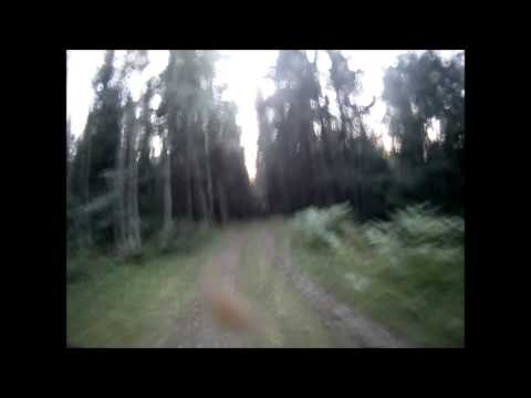 Gamlebakka på Ringkollen