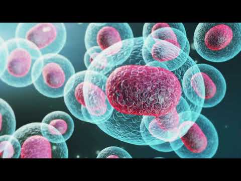 🧬 What Are We Made Of? | Science Explainer for Kids! 😃📚