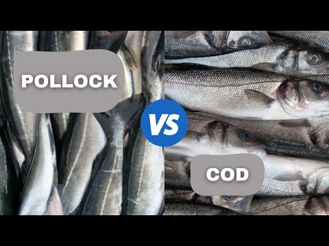 Pollock vs Cod | Which is Better?