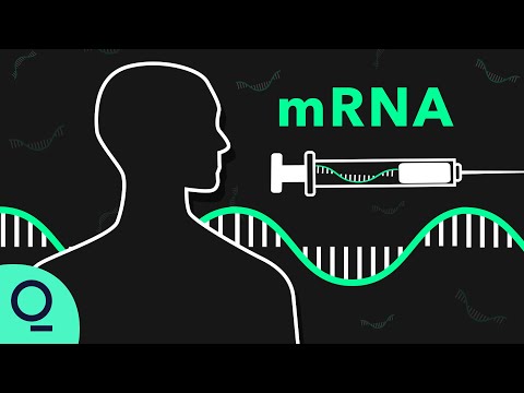 How mRNA Technology Could Be Used to Fight Cancer