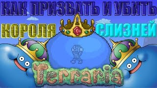 Как сделать приманку для короля слизней