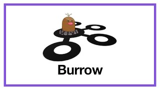 Burrow = 카프카 컨슈머 Lag 모니터링 필수요소