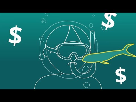 Обложка видео