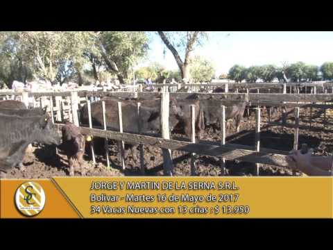 16-05-17 Venta de Vientres - Jorge y Martin De La Serna S.R.L. - Bolivar.