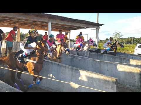CORRIDA DE CAVALOS - IV TORNEIO DE POTROS FILHOS DO RATINHO 2026 - ALTO ALEGRE - RORAIMA