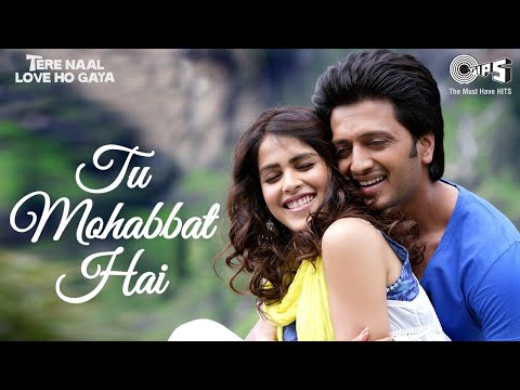 Tu Mohabbat Hai — watch video