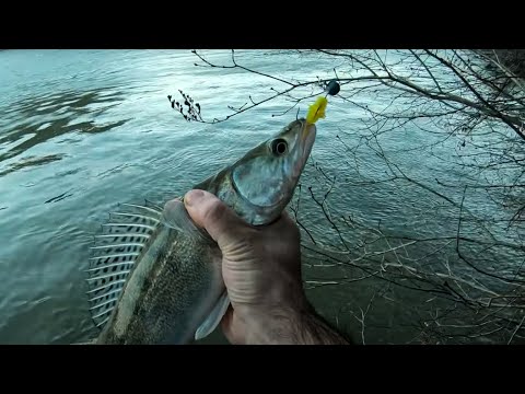 PECANJE SMUĐA ep.7 | Shore Jig Fishing for Zander