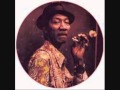 HOUND DOG TAYLOR -  GIVE ME BACK MY WIG